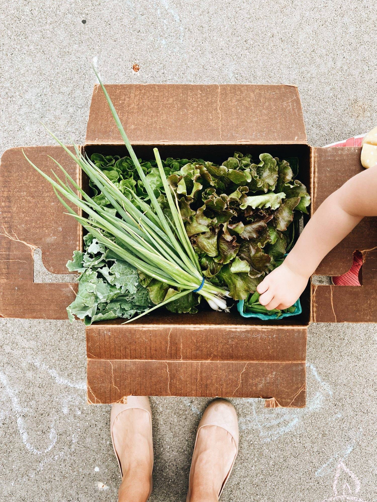 White child's hand grabbing vegetables from CSA box. 